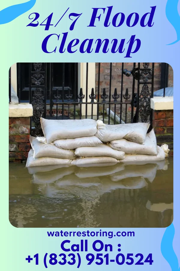 24/7 Flood Cleanup in Paisano Park, TX