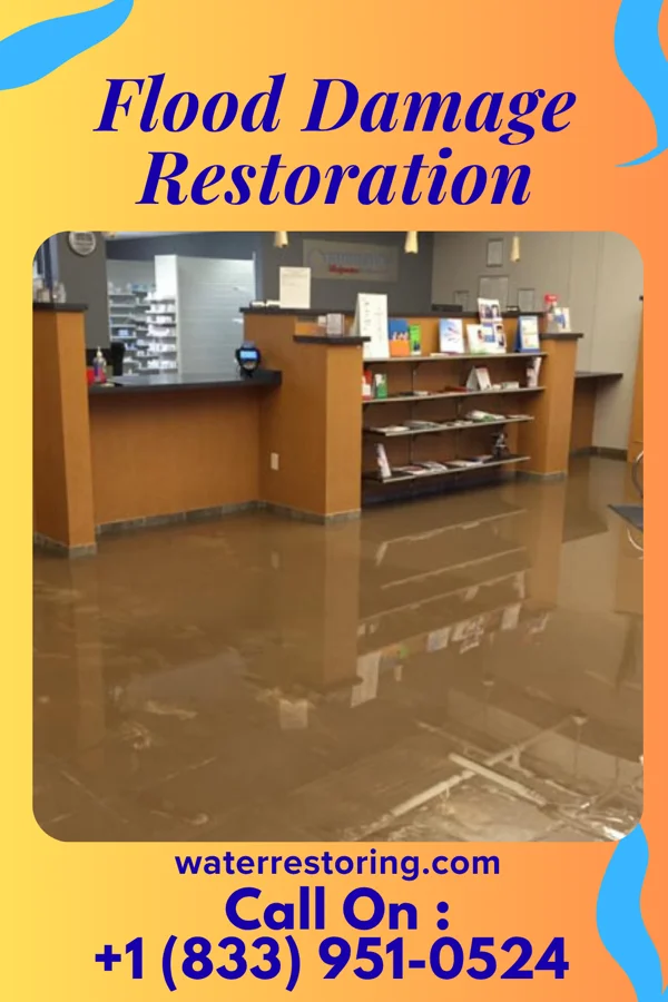 Flood Damage Restoration in Paisano Park, TX